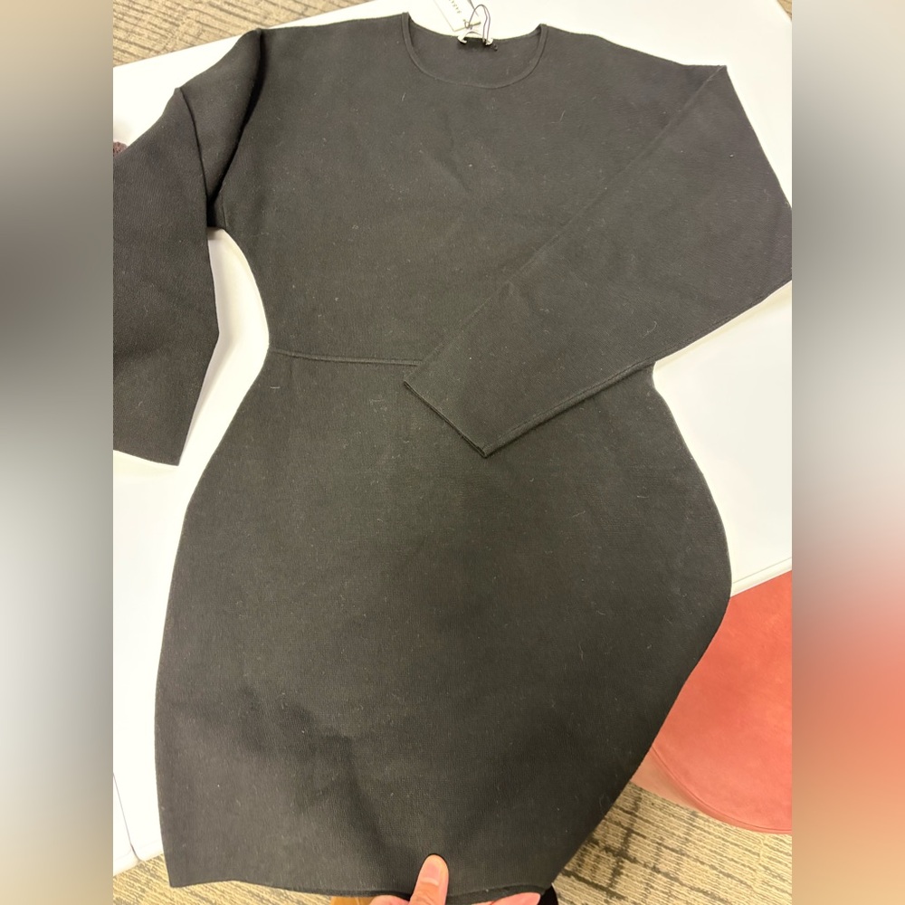 NWT aritzia Delancey dress - FLAW